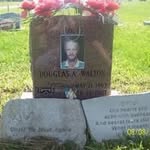 Doug Walton - @dougwalton674 - Instagram
