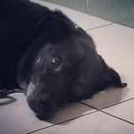 Doug Wang - @dougwoon - Instagram