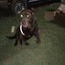 Douglas Wankowski - Facebook