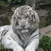 Doug Warinner - @doug.warinner - TikTok