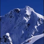 Doug Washer. - @washer.doug - Instagram