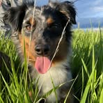 Doug Waters - Facebook