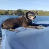dougwaters.social - @dougwaters.social - TikTok