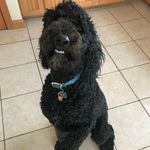Doug Way - @doug.way.9883 - Instagram
