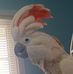 Doug Weems - Facebook