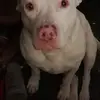 Doug Weiss - @doug.weiss7 - TikTok