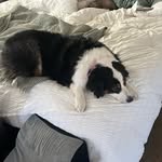 Scott Doug Weller - @weller9816 - Instagram