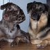 Doug Wert - Facebook