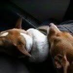 Doug Westcott - @dougwestcott - Instagram