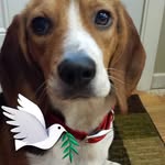 Doug Wester - @doug.wester52 - Instagram