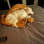 Doug Westhoff - @dougwesthoff_grrc - Instagram