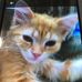 Doug Westhoff - Facebook