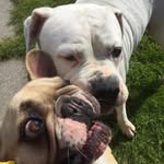 Doug Wharton - @doug.wharton.1447 - Instagram
