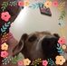 Douglas Wheate - Facebook