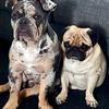 Dougie Whiteman max123 - @dougie.whiteman.m - TikTok