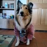 Doug Whitman - @whitman_doug - Instagram