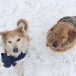 Doug + Benny Whitten - @dougandbenny - Instagram
