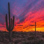 Doug Whitten - @whitten.doug - Instagram