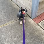 Dougie Whitten - @dougiewhitten - Instagram