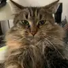 dougwickstrom - @dougwickstrom - TikTok