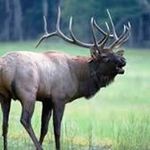 Doug Wilkinson - @dougwilkinson8341 - Instagram