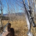 Doug Willingham - @doug_e_will - Instagram