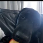 Doug Willmoth - @doug_willmoth - Instagram