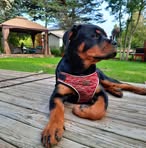Doug Wilt - Facebook