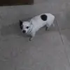 Douglas wimer - @douglaswimer - TikTok