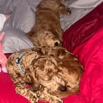 Doug Winner - @dougwinner - Instagram