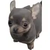 douglaswitherspoon7 - @douglaswitherspoon7 - TikTok