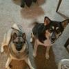 doug.wynn74 - @doug.wynn740 - TikTok