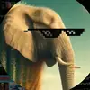 Doughzerr - @doughzerr - TikTok