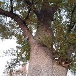 Douglas Arledge - @douglas.arledge.7 - Instagram