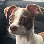 Douglas Baird - @dbaird10054 - Instagram