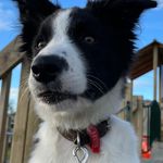 Douglas Baird - @douglas.baird.9 - Instagram
