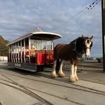 DBHT Online - @douglasbayhorsetramway - Instagram