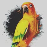 bear Douglas - @douglasbear - Instagram