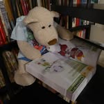 Douglas Bear - @nuit_fantastique - Instagram