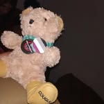 Douglas: Bear Assexual - @tocadouglas - Instagram
