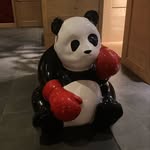 Douglasbear - @douglasbear08 - Instagram