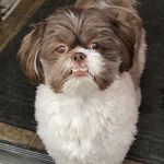 Doug - @douglasfurbechtold - Instagram