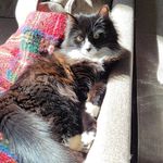 Douglas C Beeman - @pescatarianleo - Instagram