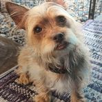 Douglas Benoit - Facebook