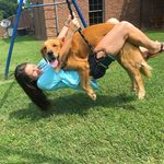 Douglas Benson - @doug_the_golden_ - Instagram