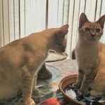 Douglas Benson - @douglas.benson.165 - Instagram