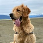 Douglas Benson The Great - @_douglasboy_ - Instagram
