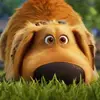 Douglas Bentley - @douglas.bentley - TikTok