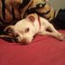 Doug Bidwell - Facebook