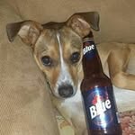 Douglas Bidwell - @bidwelldouglas - Instagram